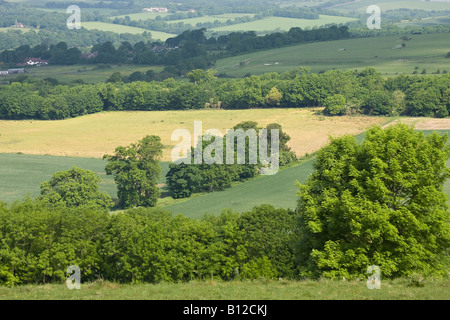 Die schönen South Downs nördlich von Worthing, West Sussex, England, Großbritannien Stockfoto