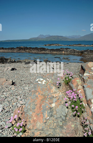 Cuillin Hills aus Tokavaig Isle Of Skye Schottland Stockfoto