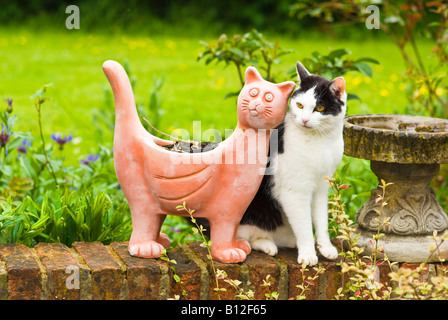 Ungewöhnliche pals eine Live moggy Cat mit einem terracotta Pflanzmaschine Katze in Großbritannien Stockfoto