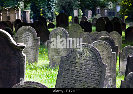 Hebräisch schreiben auf Grabstein im jüdischen Friedhof Alter Judenfriedhof oder Herliger Sand Worms Deutschland Stockfoto