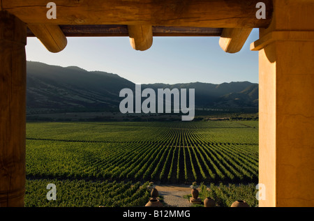 VERANDA HACIENDA VINA SANTA CRUZ WEINGUT COLCHAGUA VALLEY, CHILE Stockfoto