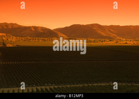 WEINBERGE VINA SANTA CRUZ WEINGUT COLCHAGUA VALLEY, CHILE Stockfoto