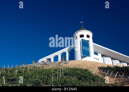 HACIENDA VINA INDÓMITA WINERY CASABLANCA VALLEY CHILE Stockfoto