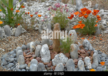 Derek Jarman-Garten im Juni, Dungeness, Kent, England Stockfoto