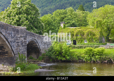 Efeu bedeckt, Hütte und Inigo Jones Bridge, Romanum, Conwy, Nordwales Stockfoto