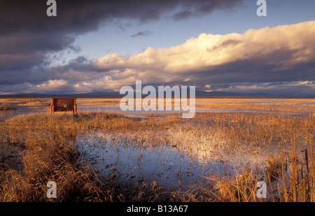 Lower Klamath National Wildlife Refuge White Lake Gebiet entlang Hwy 161 an der Grenze von Kalifornien-Oregon Stockfoto