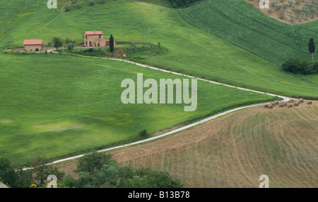 grüne Casale Siena Toskana Italien Pienza Stockfoto