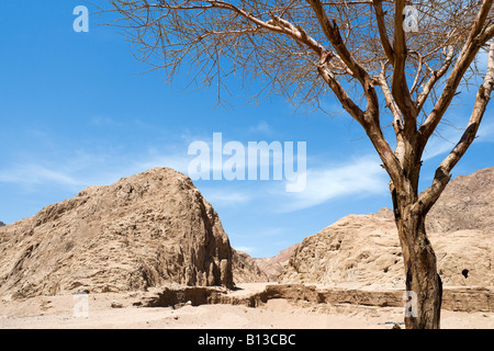 Sinai-Wüste zwischen Dahab und Sharm el-Sheikh, Süd-Sinai, Ägypten Stockfoto
