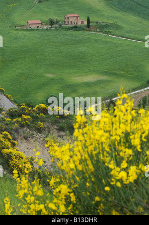 grüne Casale Siena Toskana Italien Pienza Stockfoto