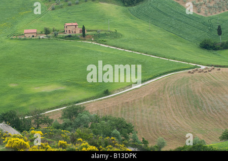 grüne Casale Siena Toskana Italien Pienza Stockfoto