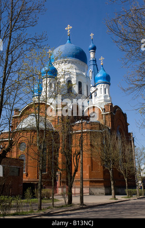 Die Pokrovskiy Kathedrale. Gattschina, Gebiet Leningrad, Russland. Stockfoto