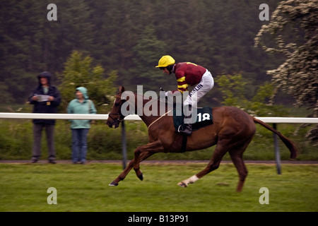 Pferd und Jockey im Galopp vorbei an zwei Zuschauer vor dem Gold Cup Steeplechase bei Scone Palace Park Racecourse Perth, UK Stockfoto