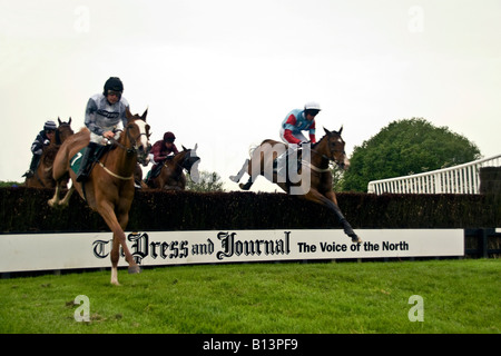 Die Goldschale Hindernislauf bei Scone Palace Park Racecourse Perth, UK Stockfoto