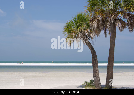 Strand-Szene mit Palmen Fort DeSoto Park, Florida, USA, Mai 2008 Stockfoto