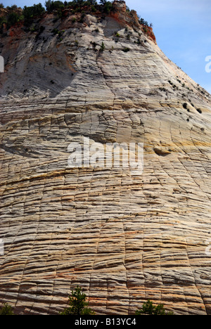 Checkerboard Mesa im Zion National Park Stockfoto