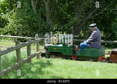 Schmalspurbahn Stockfoto