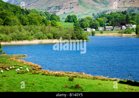 See Grasmere im Frühling Grasmere Dorf aus betrachtet über die Seen Wasser, der "Lake District" Cumbria England UK Stockfoto