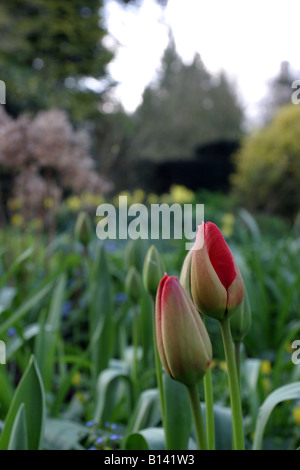 Barnsley House Hotel Gärten, Barnsley, Gloucestershire, Cotswolds, England Stockfoto