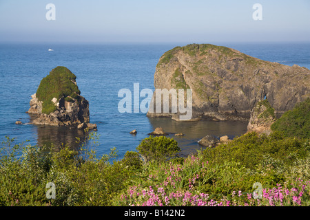 Oregon Küste, Brookings, USA Stockfoto