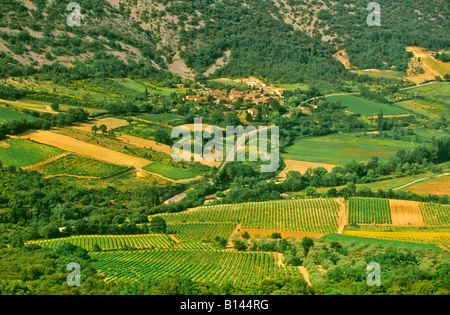 Eine kleine Gruppe von traditionellen Häuser in der fruchtbaren provenzalischen Landschaft eingebettet, Vaucluse, Südfrankreich Stockfoto