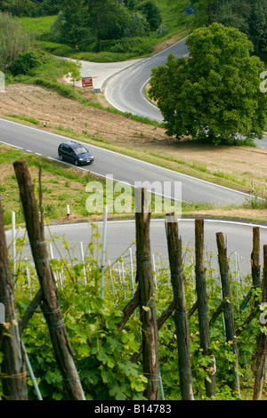 MPV in der Langhe Roero Landschaft fahren.  Santo Stefano Roero, Piemont, Italien. Stockfoto