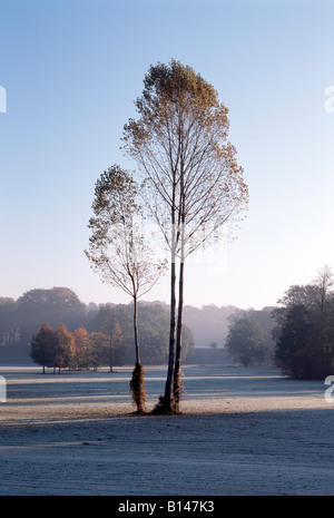 Bad Muskau, Landschaftspark (Park Muzakowski), Blick Vom Schloß in Richtung Pücklerstein Stockfoto