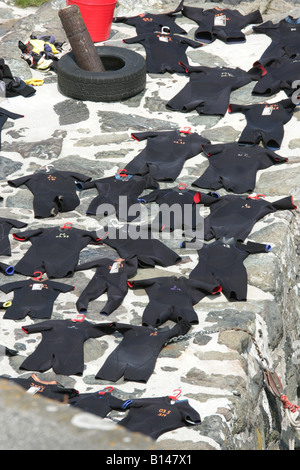 Coverack Cornwall England GB UK 2008 Stockfoto