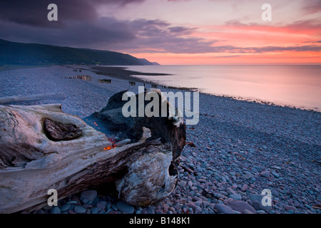 Treibholz am Bossington Strand Exmoor Nationalpark Somerset England brennen Stockfoto