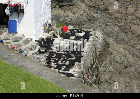 Coverack Cornwall England GB UK 2008 Stockfoto