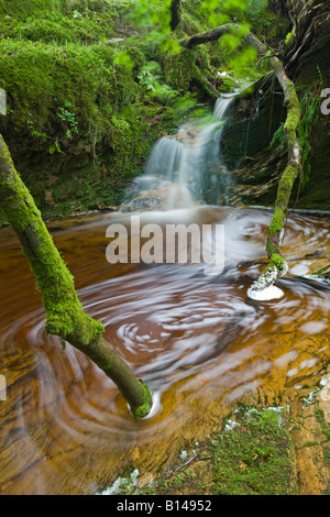 Whirlpools und Wasserfällen in einem Exmoor Stream, Exmoor Nationalpark Somerset England Stockfoto