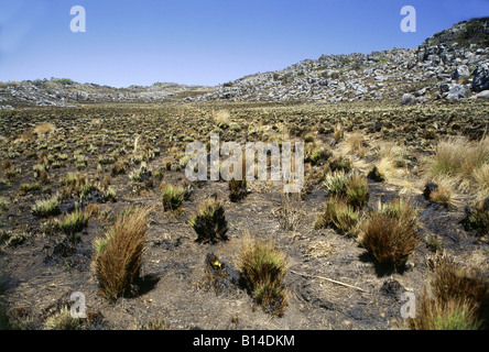 Geographie/Reisen, Simbabwe, Landschaften, Nyanga National Park, Mountain Inyangani, Additional-Rights - Clearance-Info - Not-Available Stockfoto