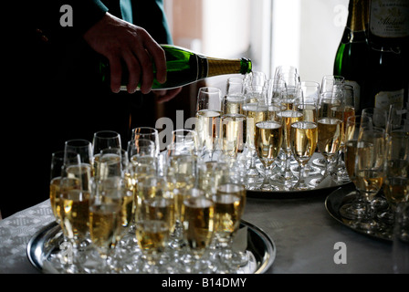 Champagner-Gläser abgefüllt im Vereinigten Königreich Stockfoto