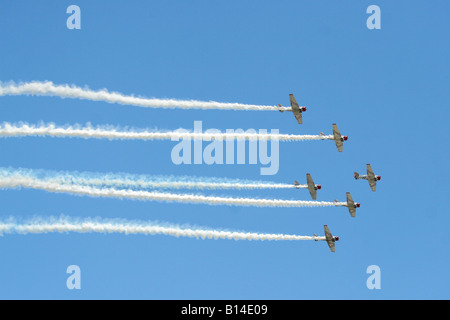 Sechs Flugzeuge fliegen in Formation auf der Luftfahrtmesse 2008 gemeinsame Service-Tag der offenen Tür am Andrews Air Force Base in Maryland. Stockfoto