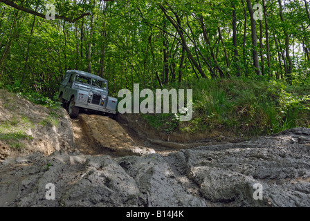 Grey Serie 2 Land Rover an die ALRC nationalen 2008 RTV-Studie teilnehmen. Stockfoto