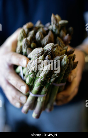 Eine Reihe von Spargel in Händen eines Landwirts in Worcestershire, UK Stockfoto