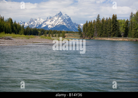 Rafting auf dem Snake River im Grand Teton National Park Stockfoto