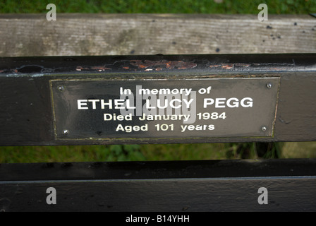 Inschrift am Denkmal-Bank mit Blick auf den Fluss Themse in Kingston nach Themse, Surrey, england Stockfoto