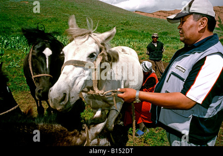 24. Juni 2006 - Weide einheimischen Melken ein Pferd an ihren Sommer außerhalb der kirgisischen Stadt Kazarman. Stockfoto