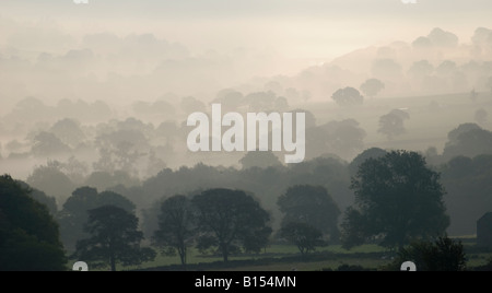 Washburn-Tal im Nebel Stockfoto