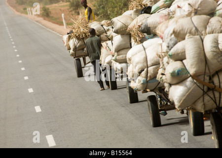 "Zu Fuß in die Zukunft" - Männer aus dem Dorf bringen waren in der nigrischen Hauptstadt Niamey. Stockfoto