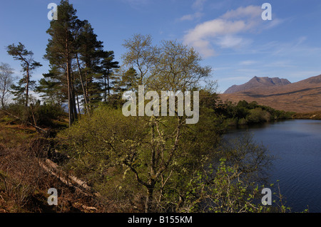 Distant anzeigen vorbei an Bäumen im zeitigen Frühjahr des Gebirges Ben mehr Coigach gesehen über Drumrunie Loch Sutherland n Schottland Stockfoto