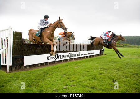 Schlauchspringen über Korbhürden am Gold Cup Day auf der Perth Racecourse, Schottland, Großbritannien Stockfoto