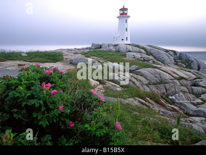 Peggys Cove Leuchtturm, Nova Scotia, Kanada oder Peggys Peggies Peggy Punkt Stockfoto