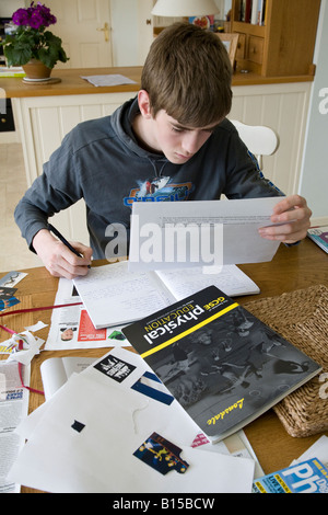 Teenager lernen für seine GCSE Prüfungen, Surrey, England. Stockfoto