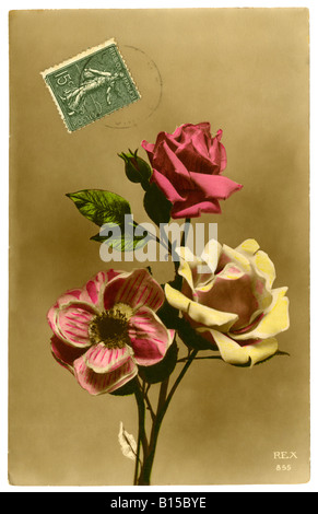 Französisch Grüße Ansichtskarte von Rosen - 1919. Stockfoto