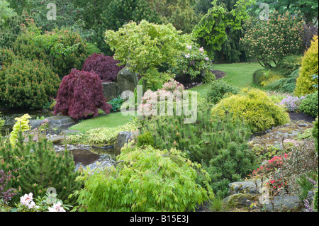 Garten-Teich im Steingarten Design von Bahaa Seedhom North Yorkshire England Mai Stockfoto