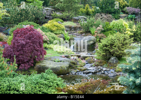 Wasserfall und Teich in der Gartengestaltung von Bahaa Seedhom North Yorkshire England Mai Stockfoto