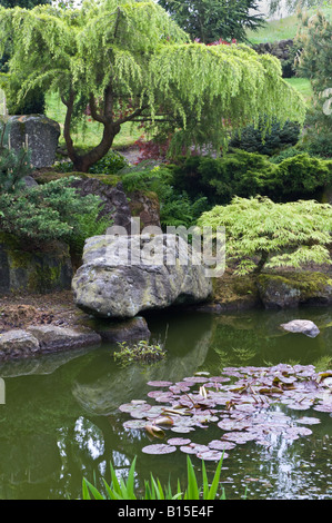 Teich in einem Steingarten Design von Bahaa Seedhom North Yorkshire England Mai Stockfoto