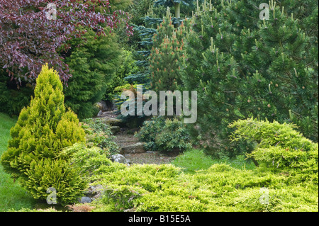 Lokalen Gritstone und Koniferen in die Gartengestaltung von Bahaa Seedhom North Yorkshire England Europa Mai verwendet Stockfoto