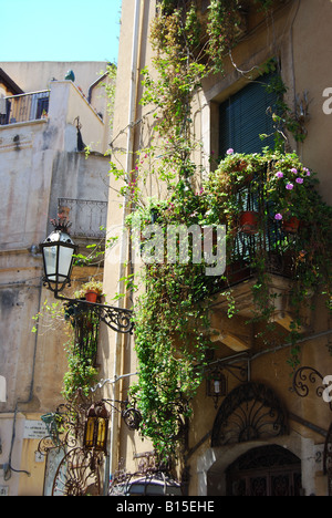 Balkon mit Blumen, Corso Umberto I, Taormina, Provinz Messina, Sizilien, Italien Stockfoto